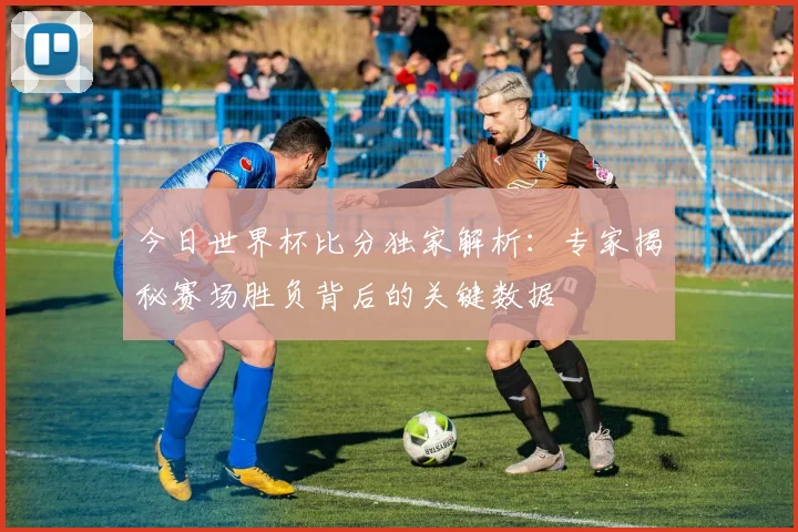 今日世界杯比分独家解析:专家揭秘赛场胜负背后的关键数据